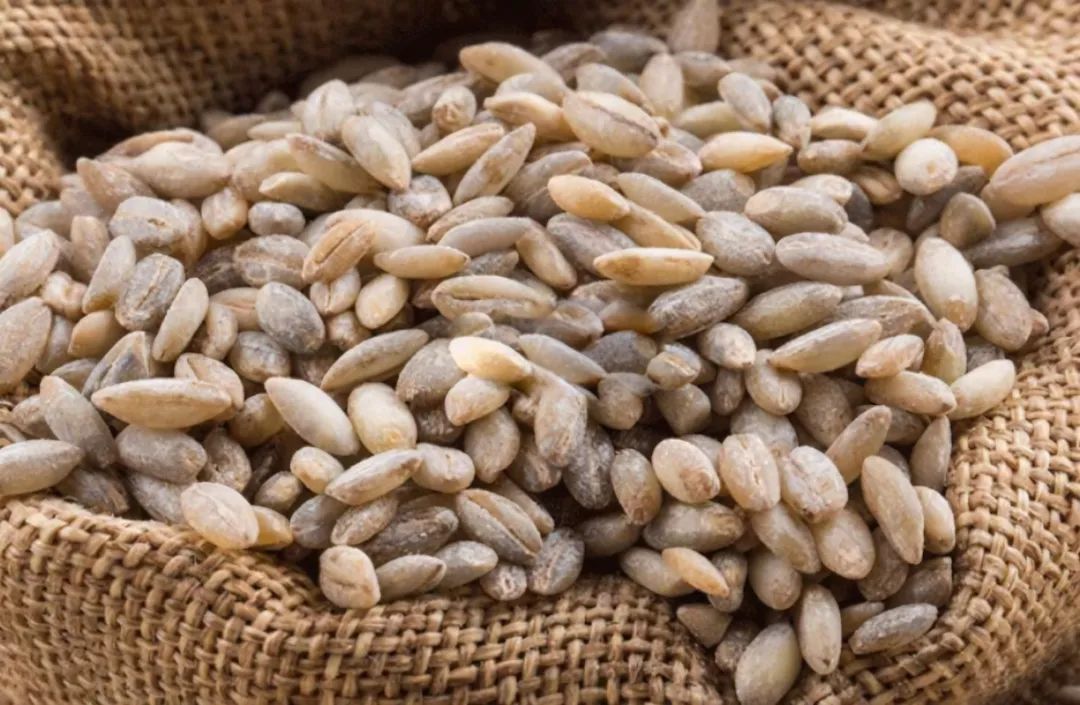 五谷杂粮食物图片大全大图,五谷杂粮图片大全大图真实