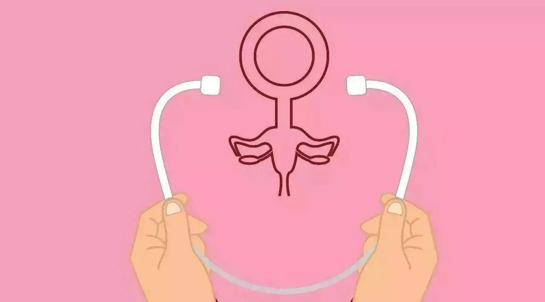 子宫内膜和胚胎怎么结合,子宫内膜好胚胎好成功率高吗