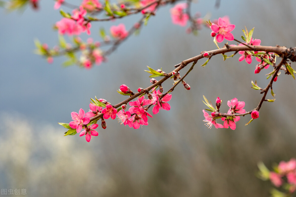 大多数老人退休后的现状,退休后老人的生活状态有哪些