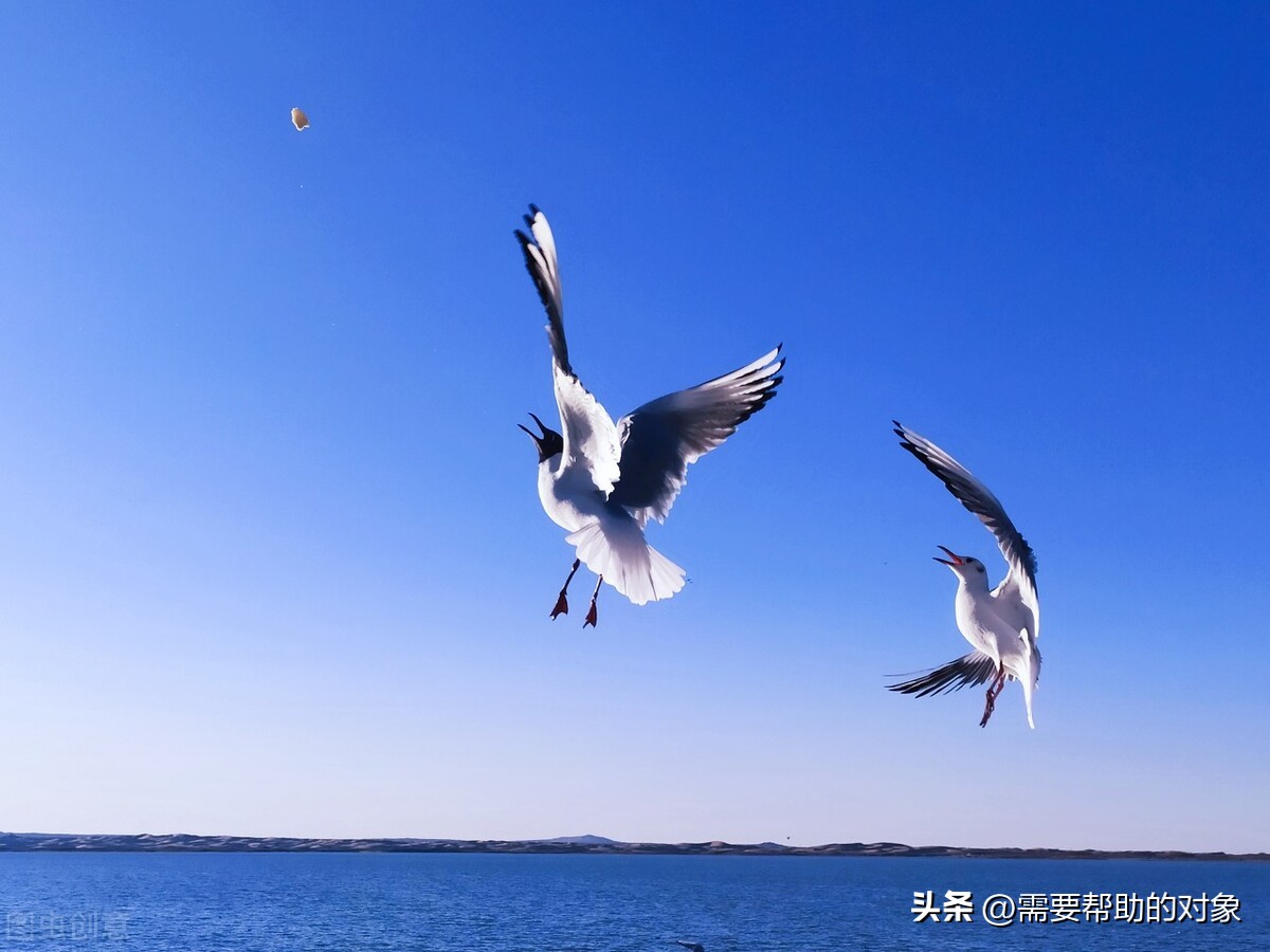 精神疾病患者：自我治愈的思维系统训练，人生重新启程