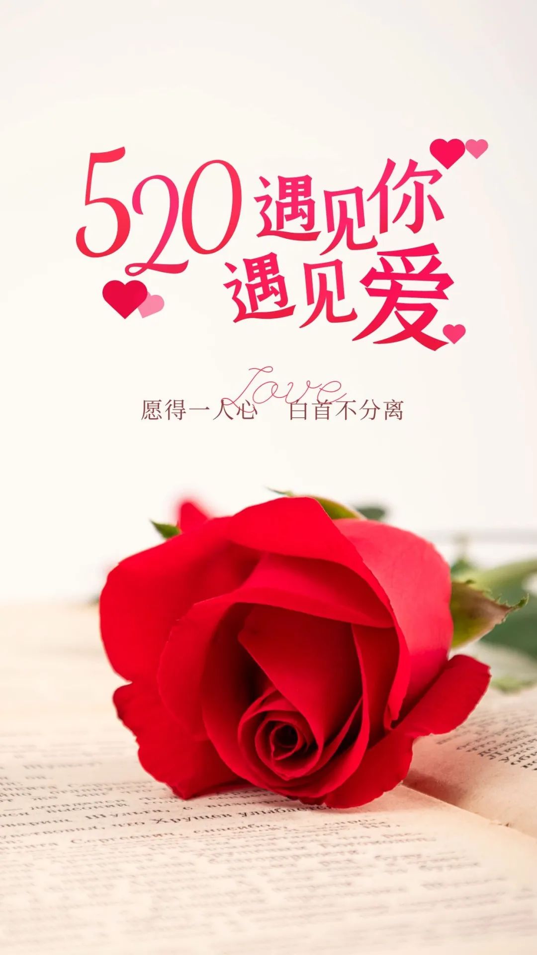 早安语录暖心短句文案图片,2015早安正能量的句子图片