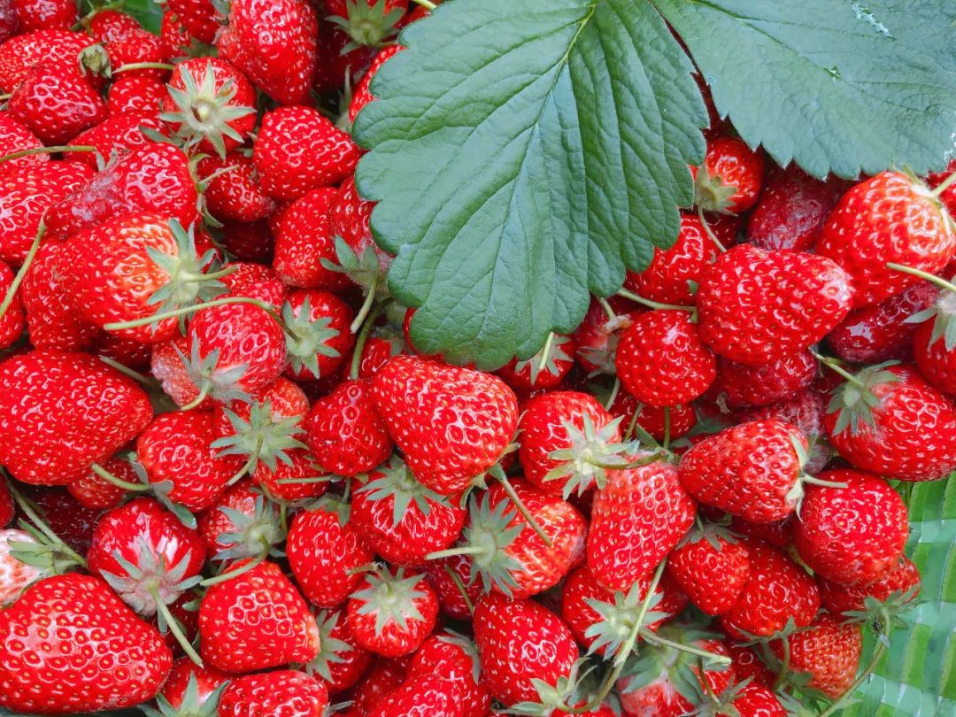 湖北省乡村旅游机遇,湖北春节旅游6日推荐