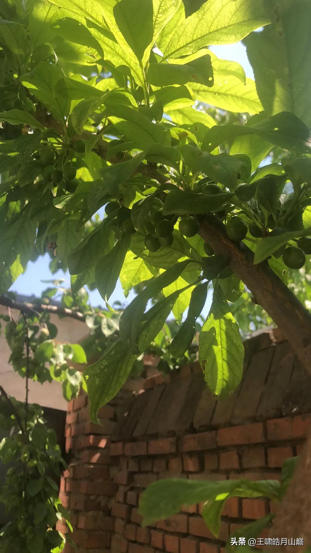 linuxinit启动流程,linux系统启动流程