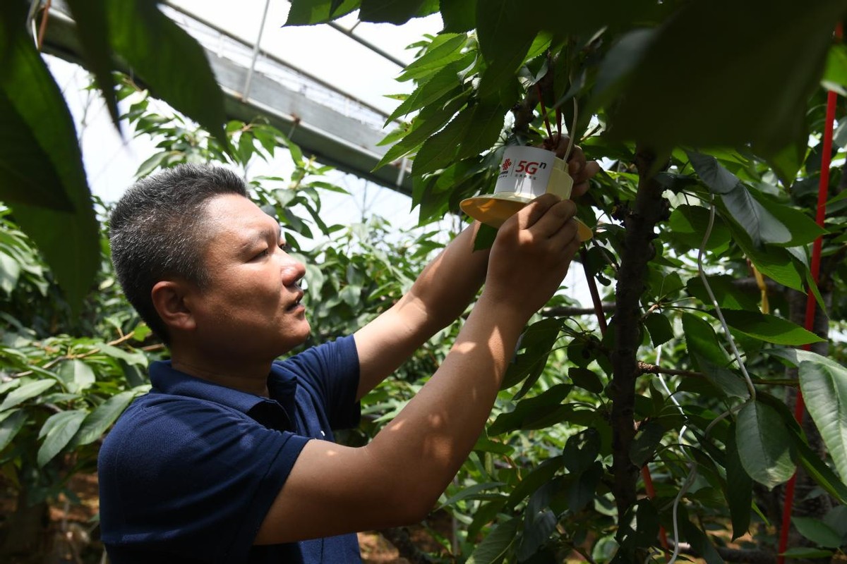 潍坊联通定点帮扶临朐县黄山村的“数字乡村”成长记