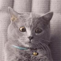 生气引起心梗的十种疾病,心梗猝死跟心情生气激动有关系吗