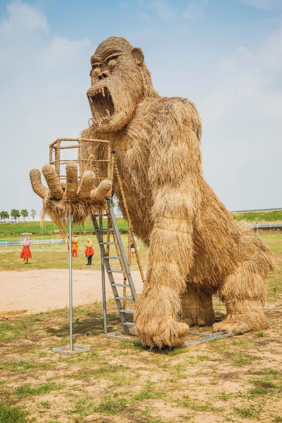 稻梦空间乡村生态观光园,稻梦空间采摘园