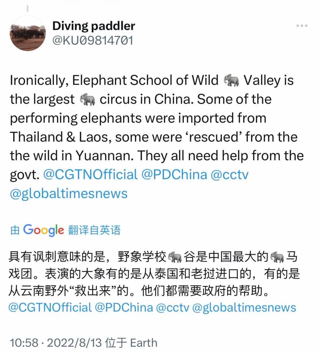 野象谷：给大象拴铁链子，好比人类遛狗的时候拴狗绳