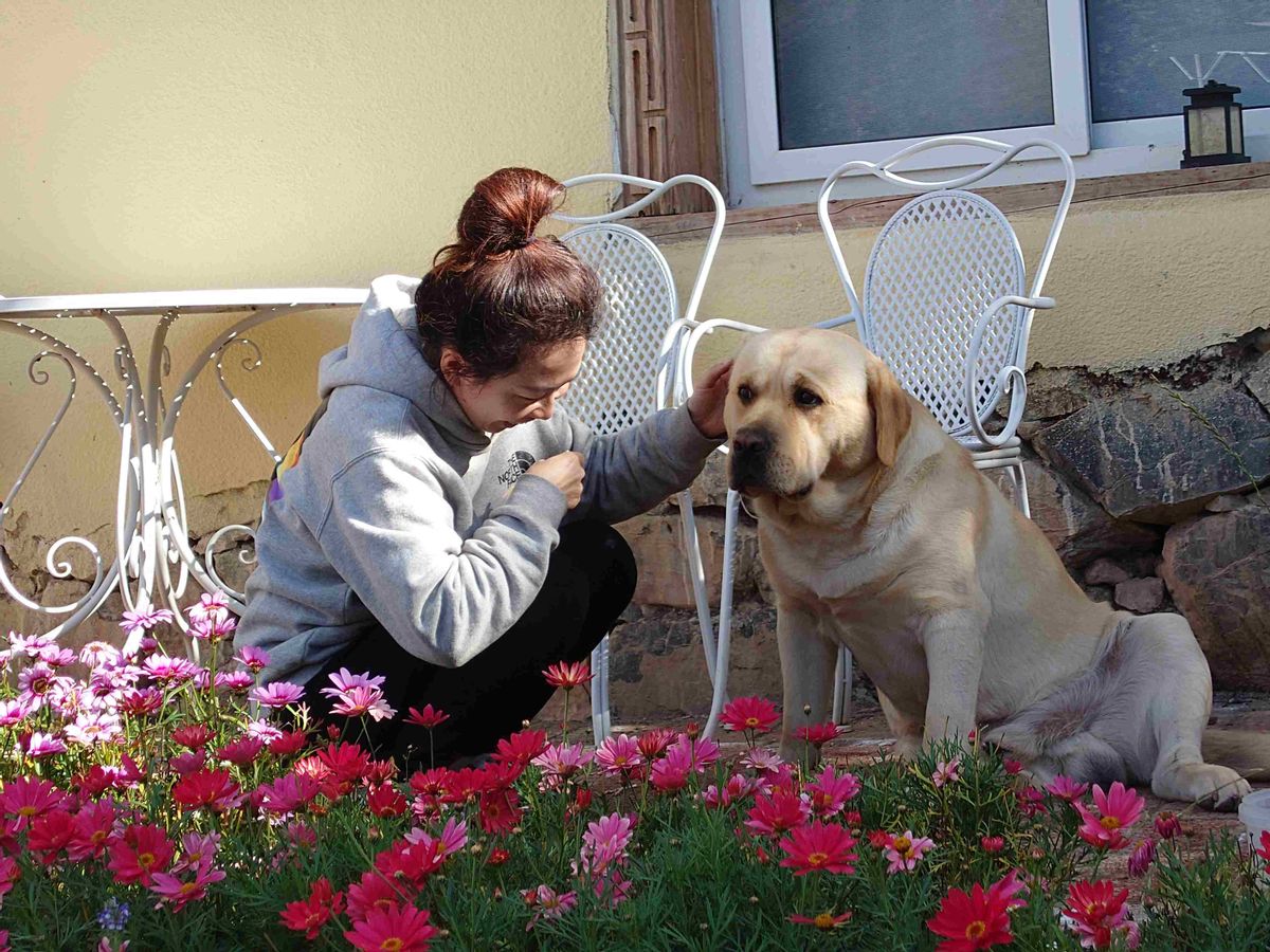 裸辞去了丽江和香格里拉,裸辞香格里拉
