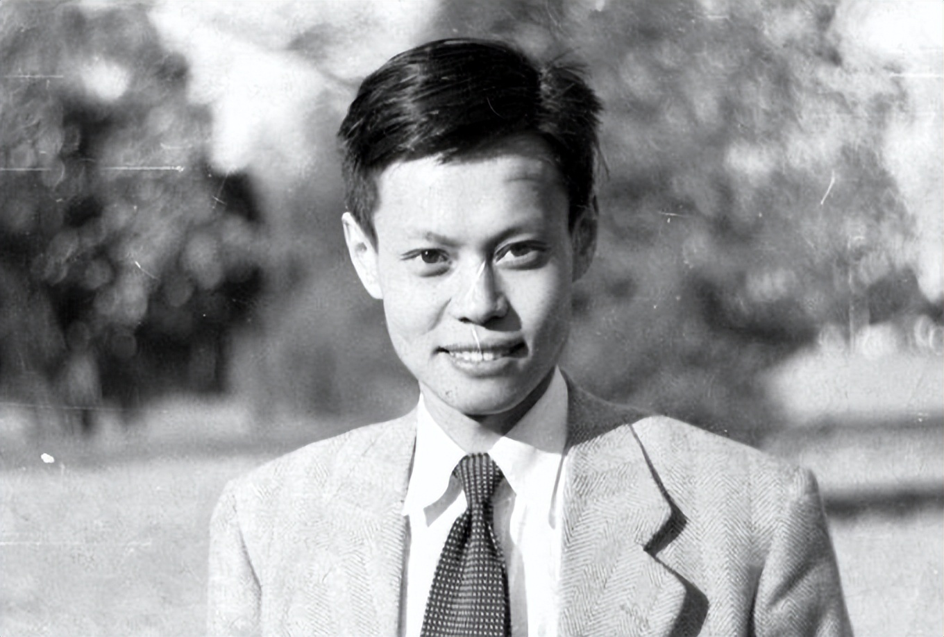 杨振宁百岁之际翁帆披露相处细节,翁帆为何要嫁差54岁的杨振宁