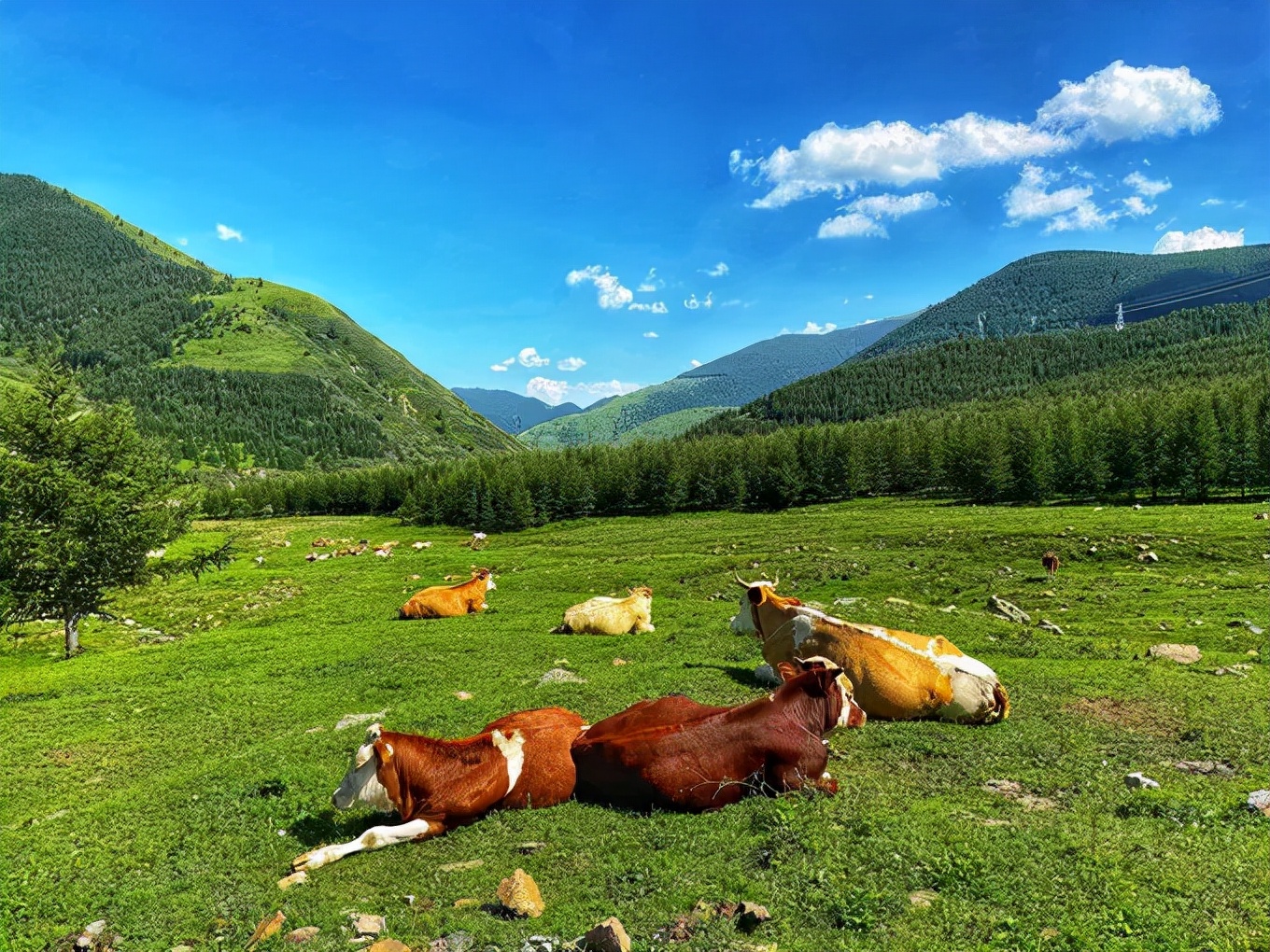 去五台山每个寺庙都可以许愿吗,去五台山一定能遇见文殊菩萨