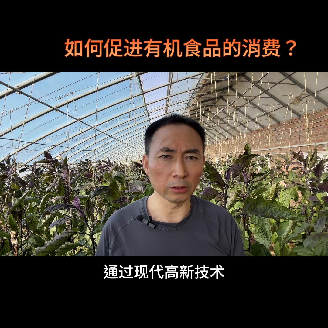 短期食品怎样在抖音运营,有机食品如何抖音运营