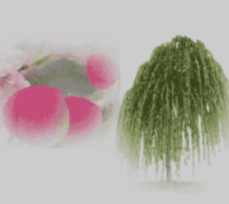 20个成语接龙及解释,成语故事与成语接龙