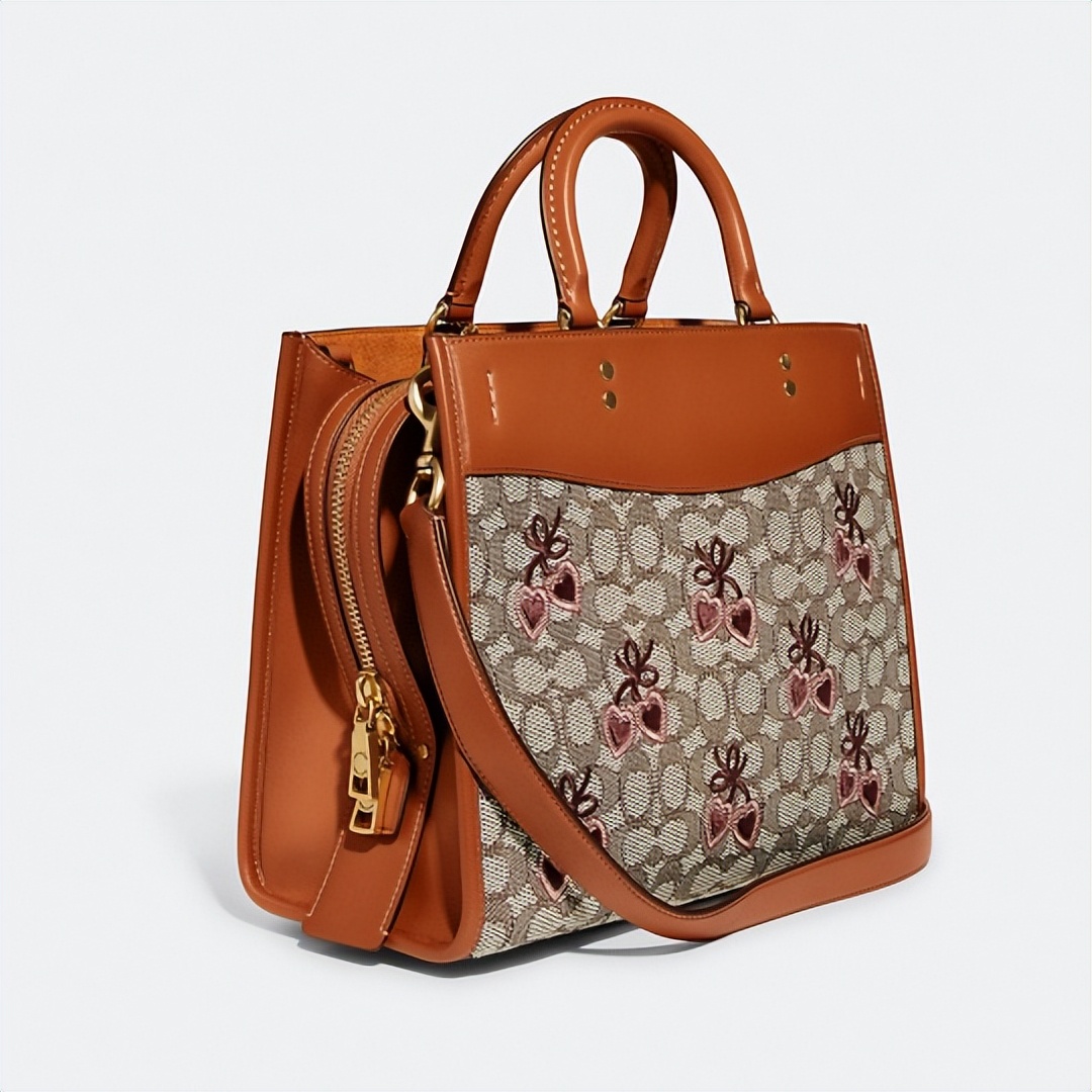 coach2022新款包,coach2022新款包包