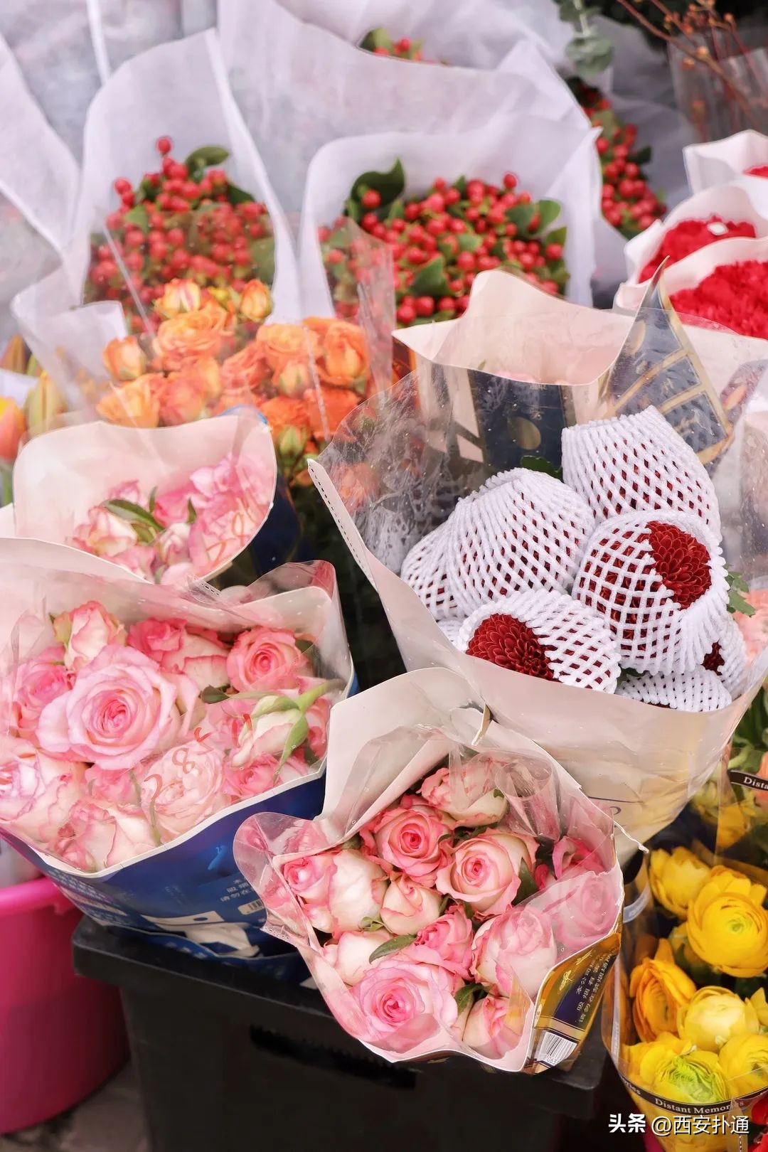 西安情人节去哪比较好,西安买花攻略