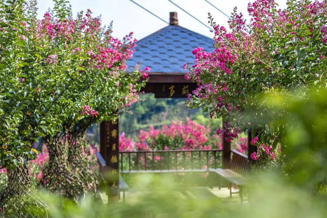 黄湾小镇避暑民宿,黄冈民宿自驾游