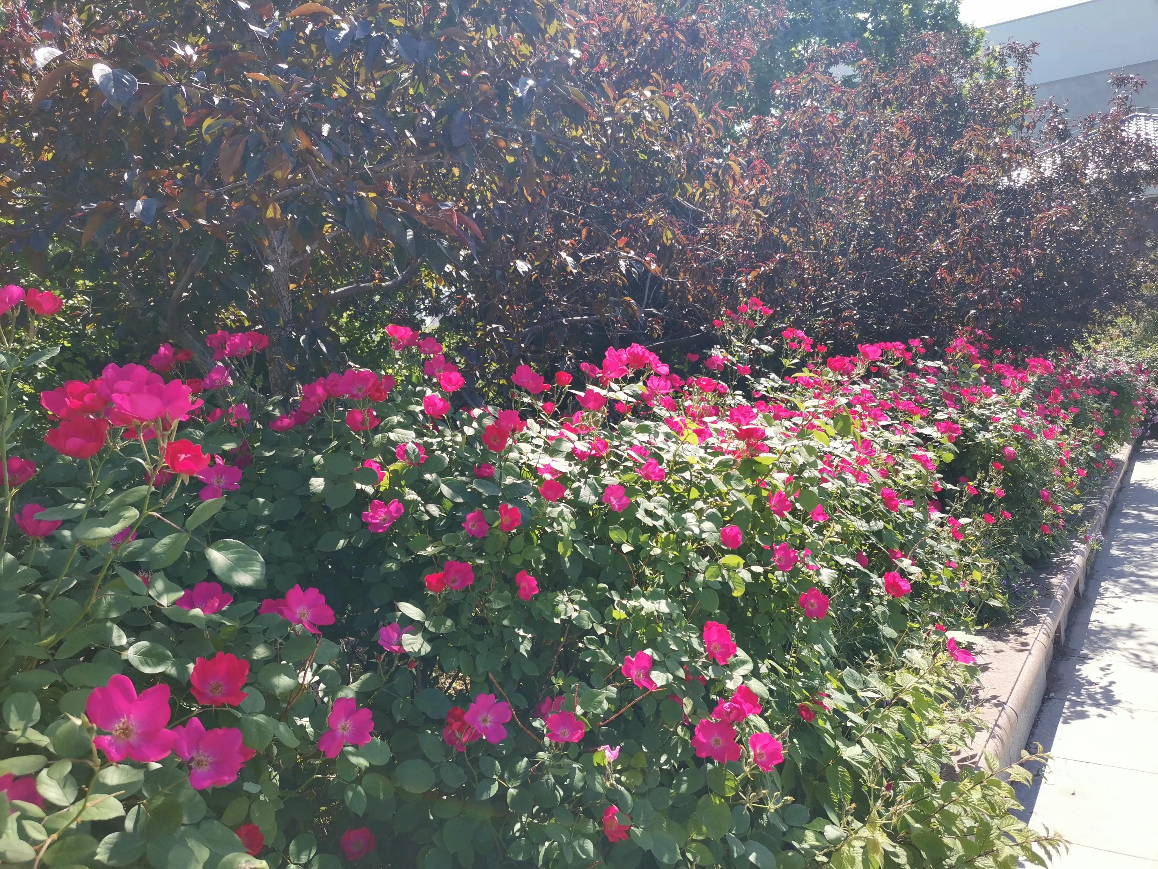 王串场公园有什么,王串场公园地图