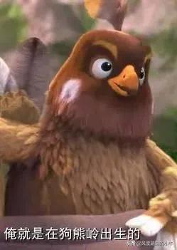 熊出没最厉害的角色,熊出没历代角色大全