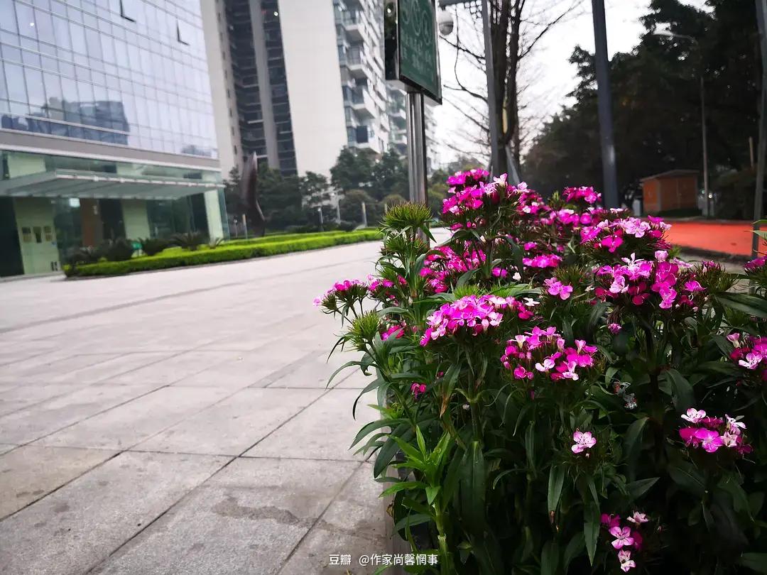 成都6日逛吃攻略,成都旅游3-4天攻略最佳美食