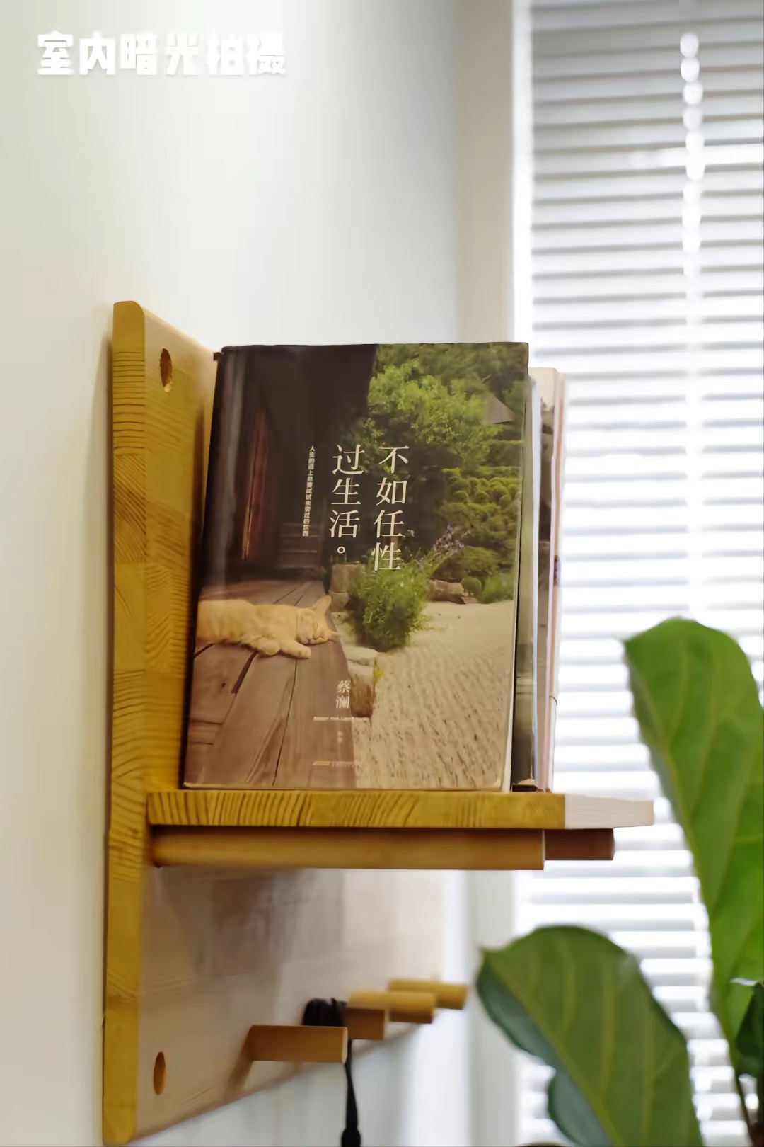 3000左右打鸟镜头推荐,二手单反推荐500元以下拍人像