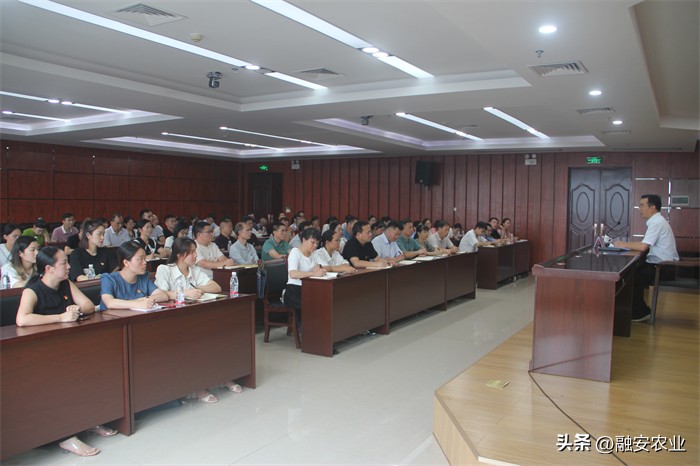 清廉乡村助推乡村振兴,清廉乡村党建引领