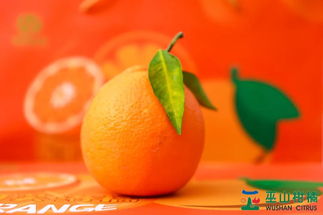 地理标志产品品牌推广,解读地理标志产品该如何打造品牌