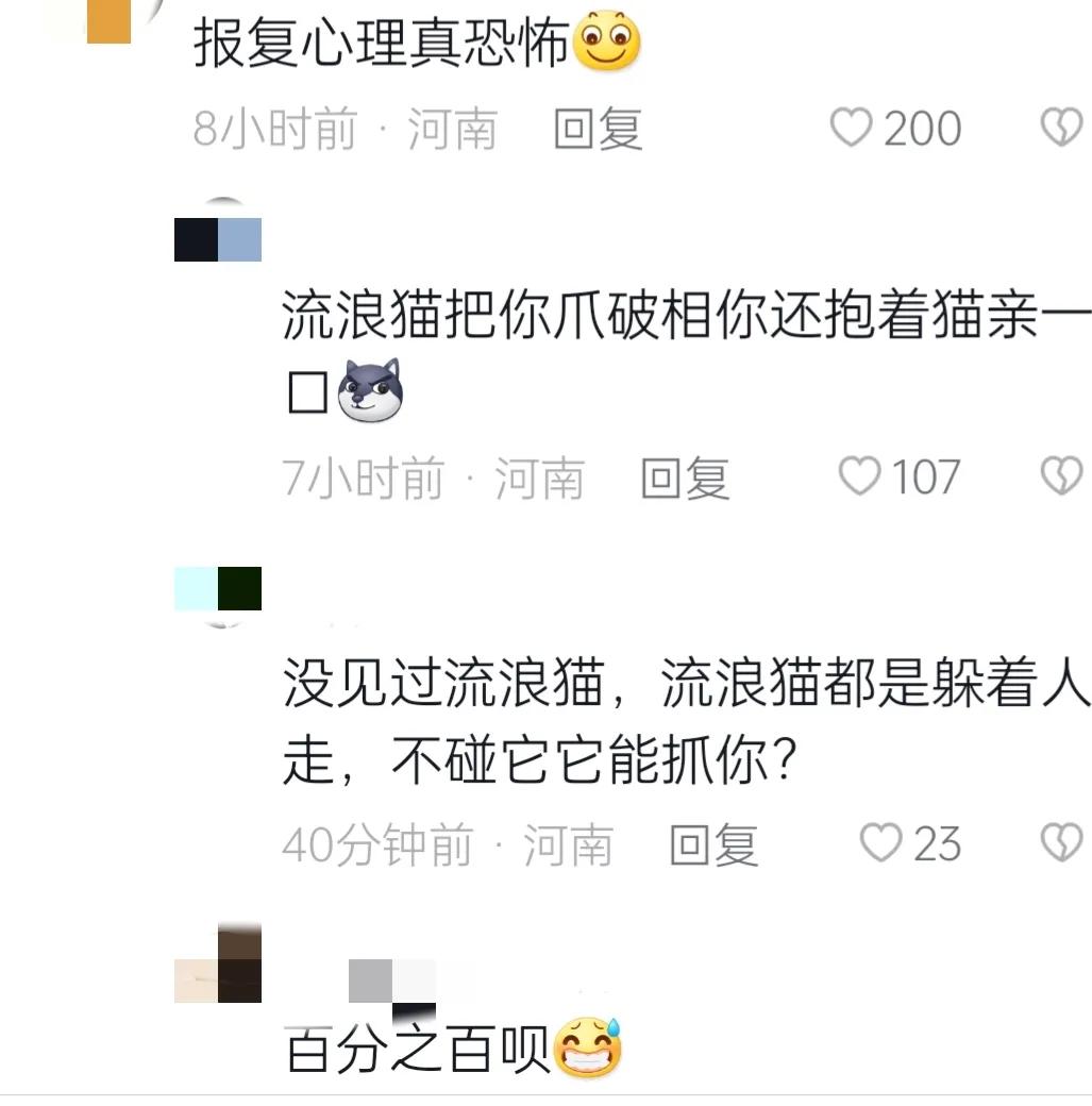 深圳弓箭射流浪猫警方介入,深圳男子用弓弩射杀流浪猫后续