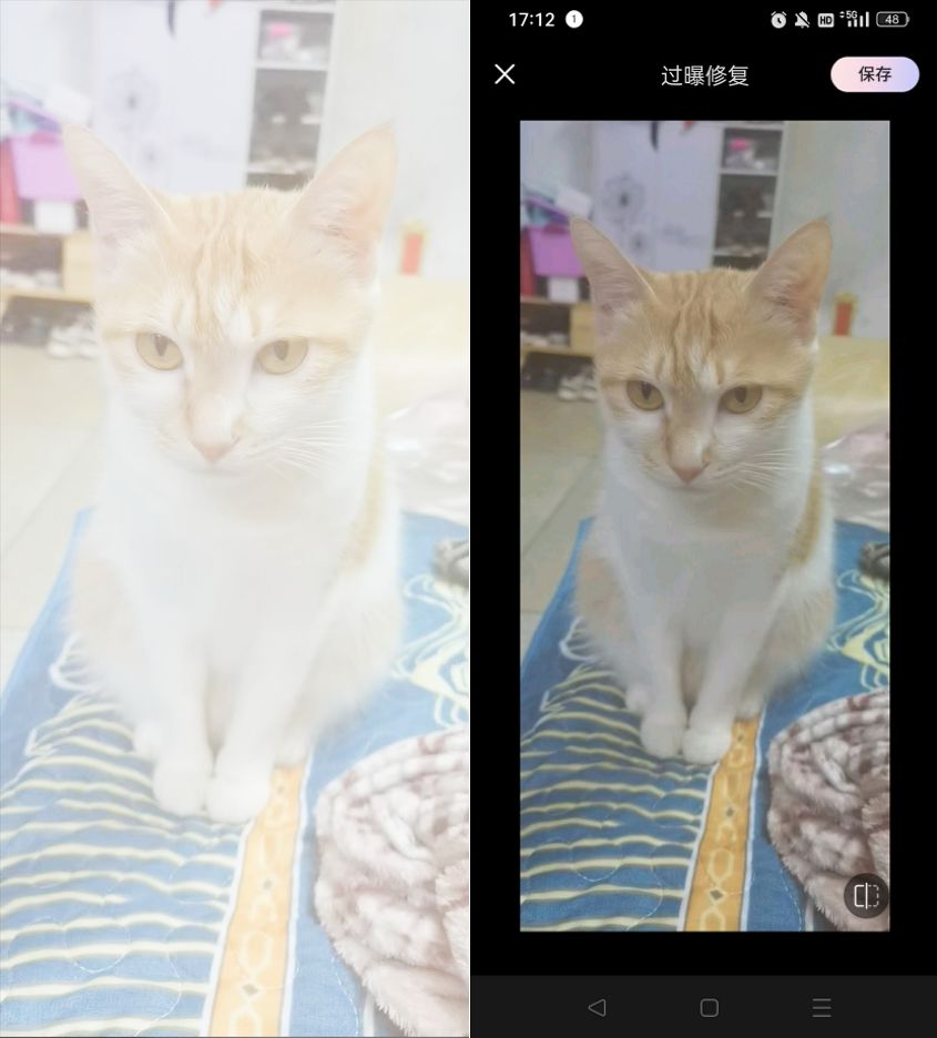 今日份安利全集播放,今日份安利电影