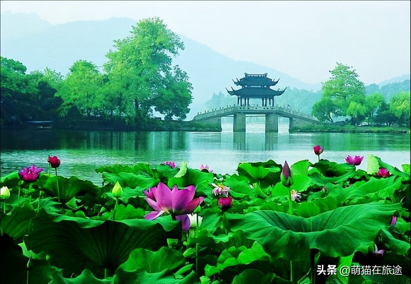 西湖广场舞人间天堂,飞阅西湖人间天堂