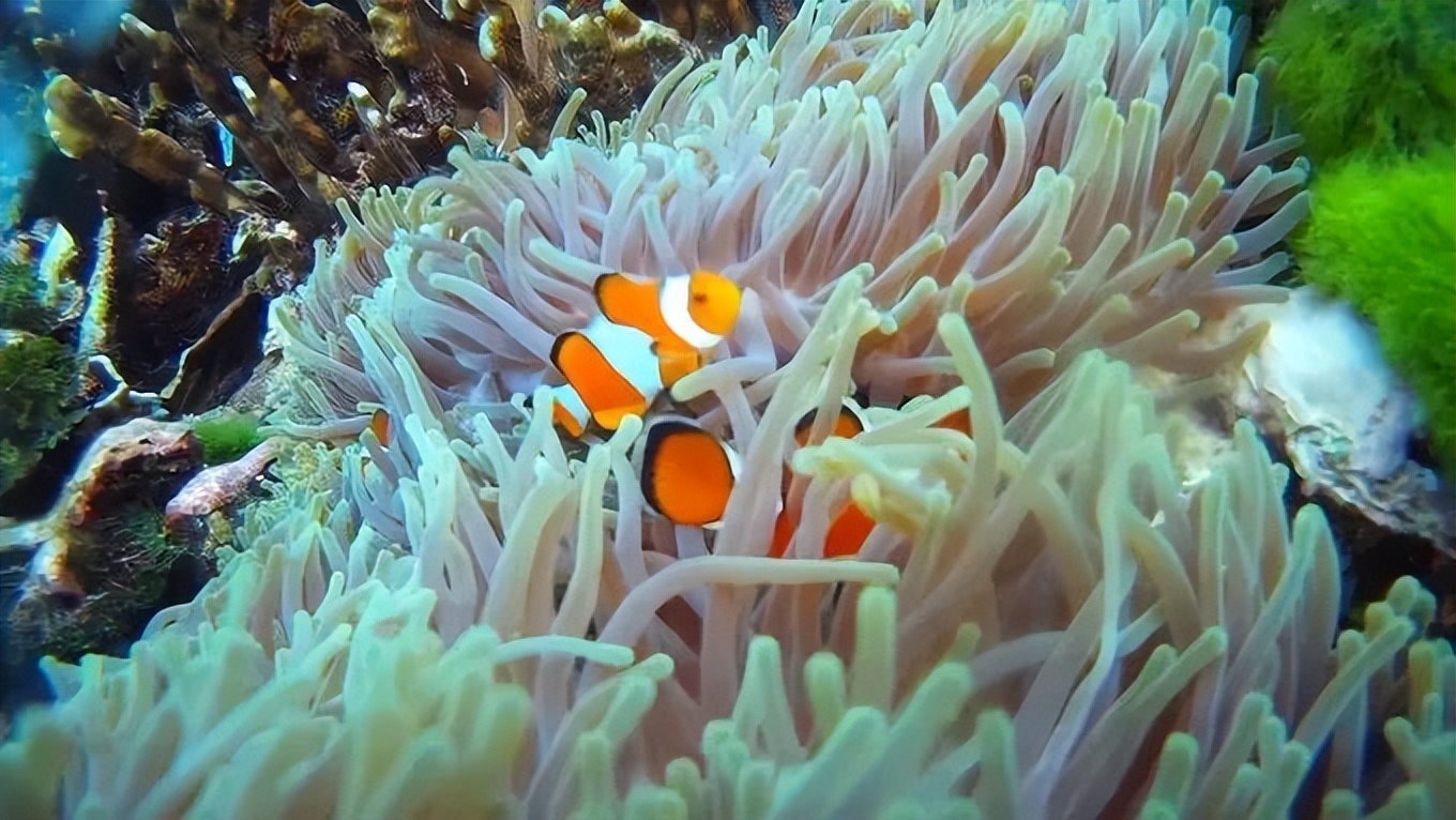 泰国小众海岛,泰国冷门又便宜的海岛