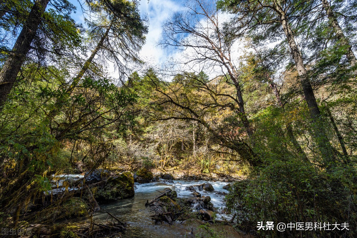 睾丸潮湿瘙痒中医解决办法,睾丸潮湿瘙痒的中医辨证