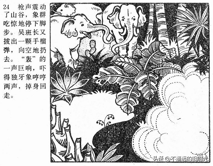 大象搬家,大象搬家河北