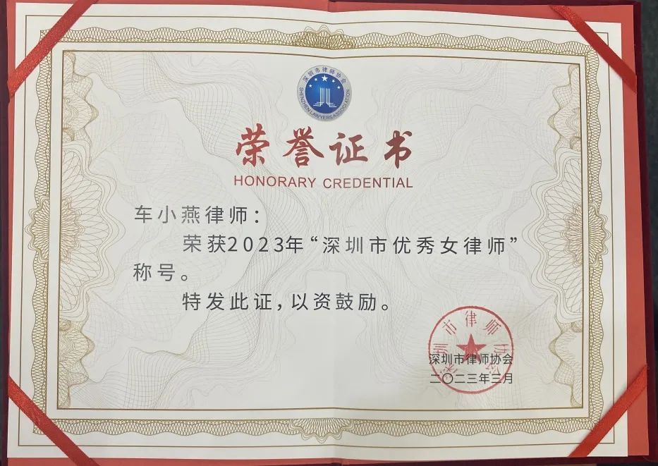 对话通力车小燕深耕行业13年大湾区知产翘楚的传奇人生丨律新对话