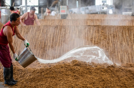 洋河哪些酒最好喝,江苏洋河酒什么样好喝