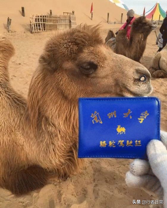 河西走廊就是甘肃吗,这就是甘肃文章