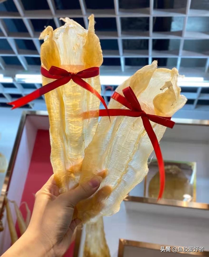 哪些鱼胶新手不建议选,鱼胶怎么挑选最好