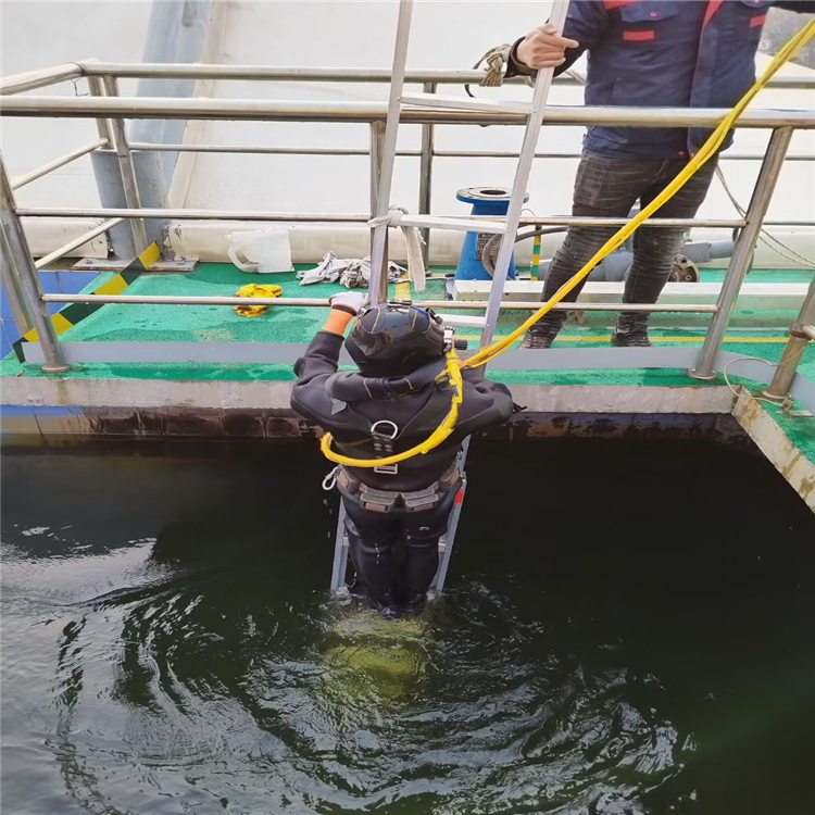 嘉兴市蛙人打捞队-本地水下打捞公司