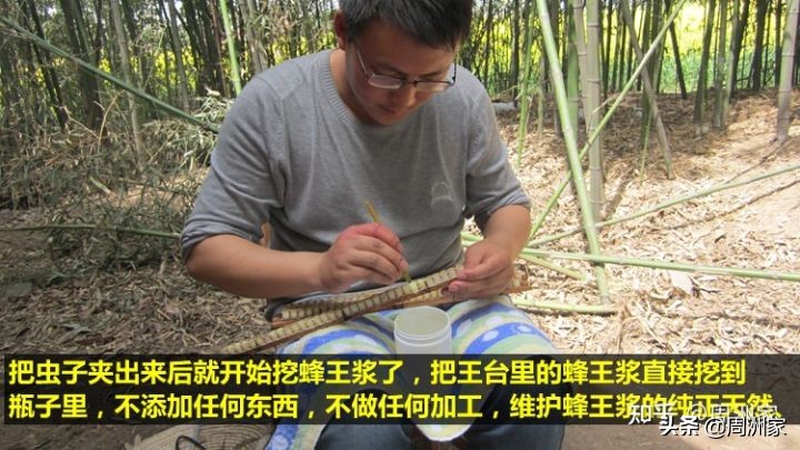 蜂王浆是怎么生产的,蜂王浆的储存方法和食用方法