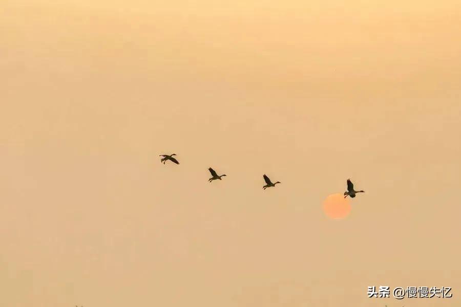 李白在安徽都写过哪些诗,李白在安徽写过哪首诗