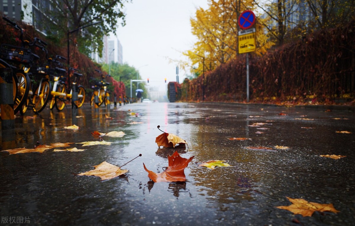 一场车祸，让我更加明白努力奋斗的意义