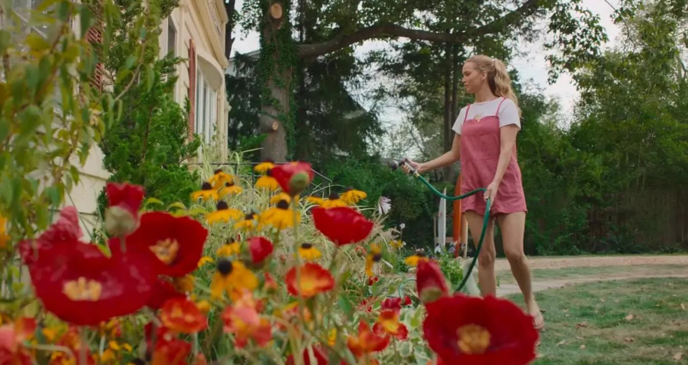 大表姐红雀深度解析,大表姐翻车系列