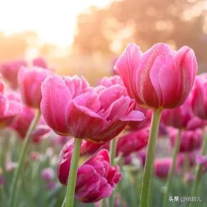 儿子当年没考上高中，现在假期从上海返回昆明，购买了两套房