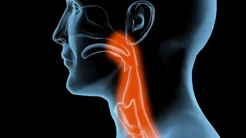 知柏地黄丸为什么害处那么多,知柏地黄丸是小颗粒还是大药丸