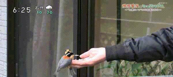 不用交房租还管吃喝？这群年轻男女躲进山村，做了一个“共生舍”