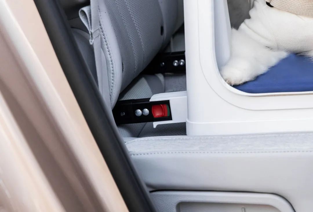 2022年iF设计奖：宠物用品类