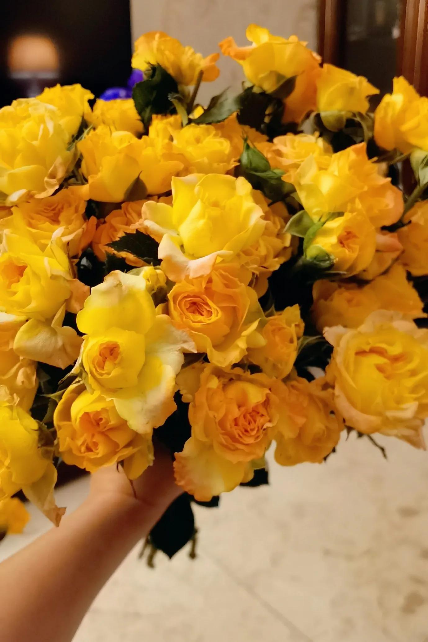 花香满屋，心情舒畅|猪妈的玫瑰开箱测评