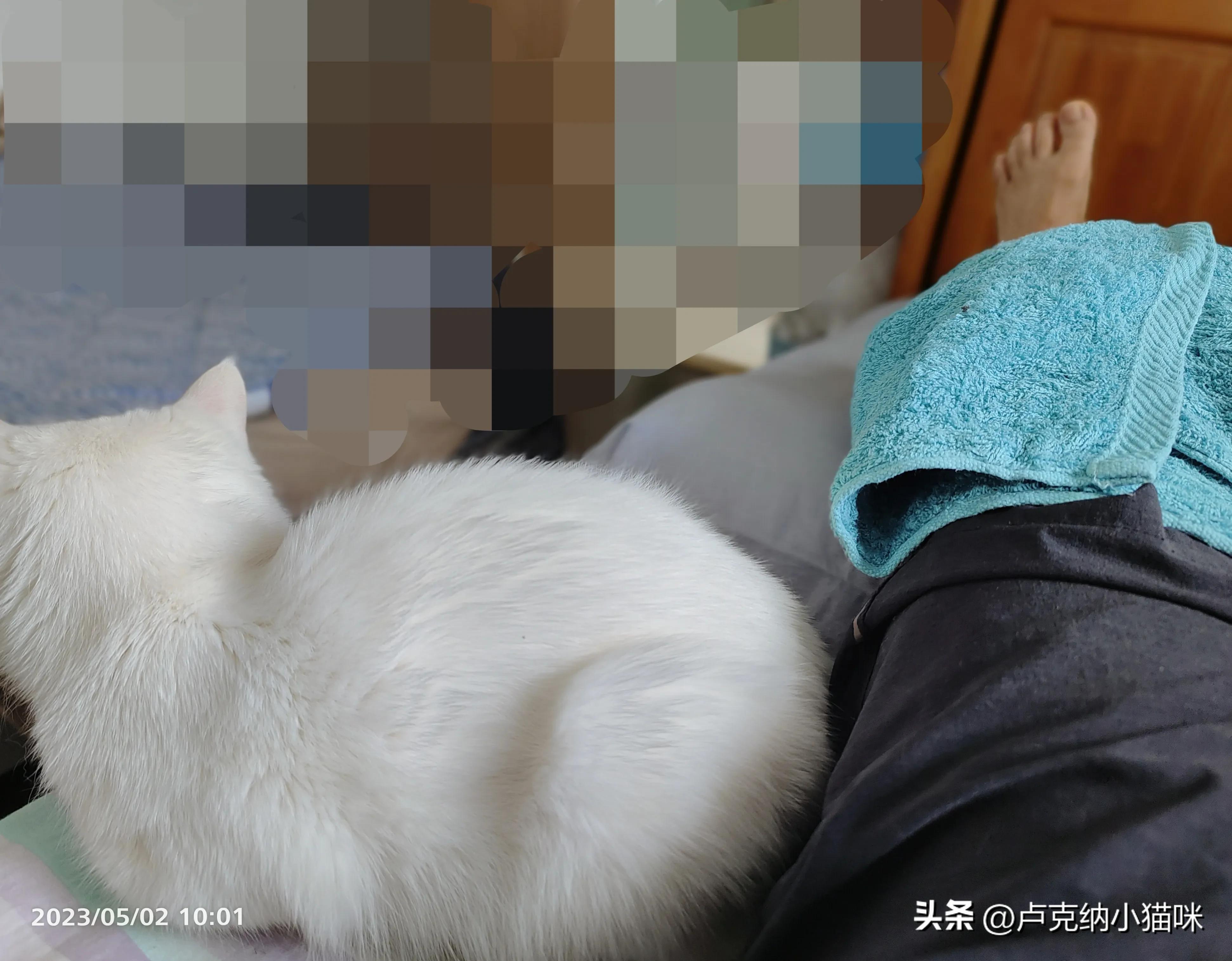 髌骨骨折术后60天正确康复锻炼,髌骨骨折术后三个月康复锻炼教程