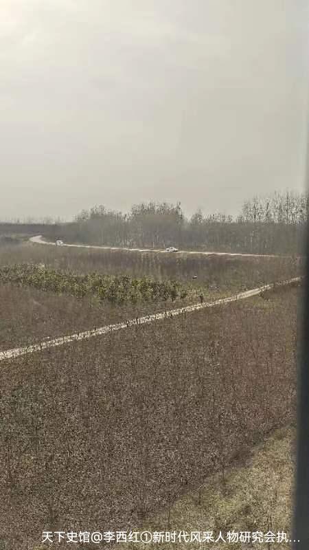 西安长安聂河中医医院简介,西安长安聂河中医医院图片