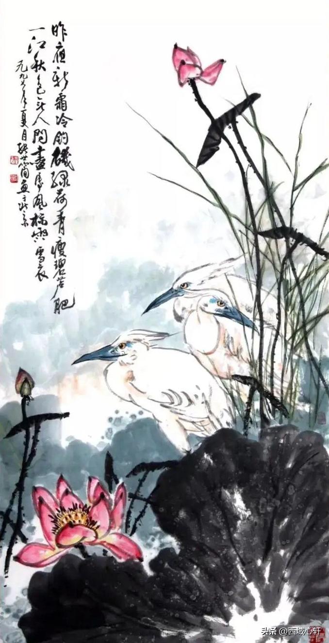 接天莲叶无穷碧映日荷花图片大全,莲叶无穷碧映日荷花别样红三幅图