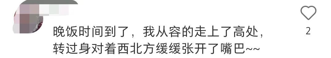 用鲁迅的口吻付尾款，网友的段子杀疯了