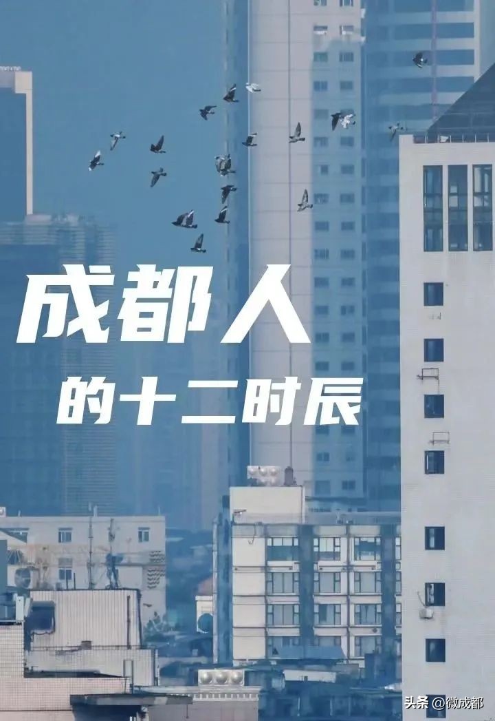 成都青年的十二时辰,成都十二时辰解读